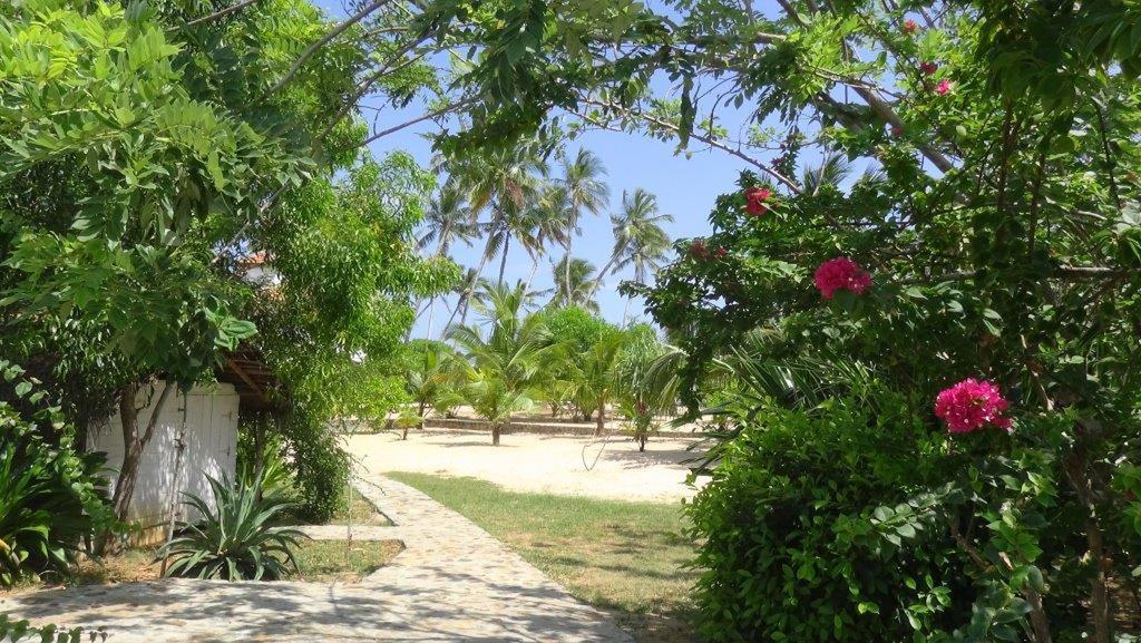 Tropical Garden Apartment Тангале Стая снимка